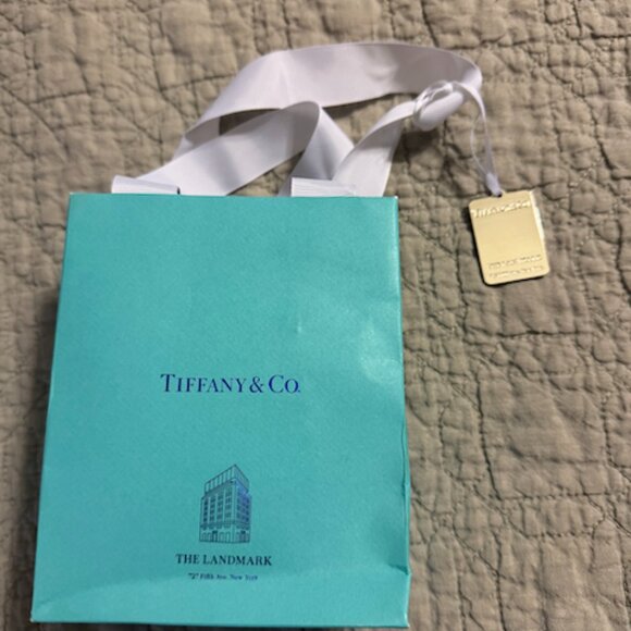 Tiffany Infinity Silver Necklace w/ Chunky Chain NWT (EXCLUSIVE!) - Picture 4 of 8